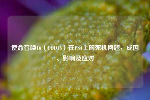 使命召唤16（COD16）在PS4上的死机问题，成因、影响及应对