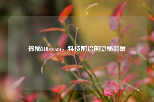 探秘310steam，科技前沿的隐秘能量