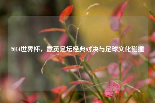 2014世界杯,意英足坛经典对决与足球文化碰撞