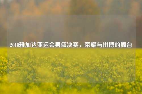 2018雅加达亚运会男篮决赛，荣耀与拼搏的舞台