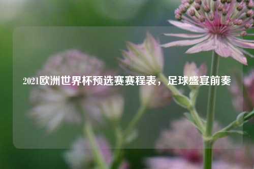 2021欧洲世界杯预选赛赛程表，足球盛宴前奏