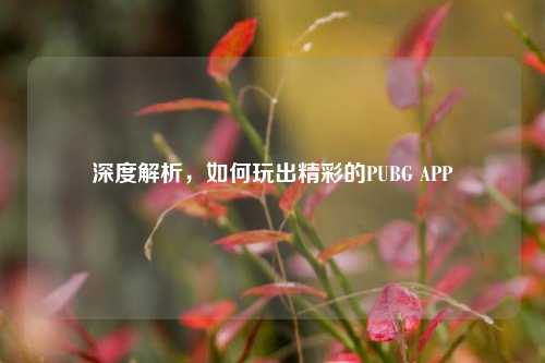深度解析，如何玩出精彩的PUBG APP