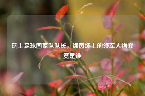 瑞士足球国家队队长，绿茵场上的领军人物究竟是谁