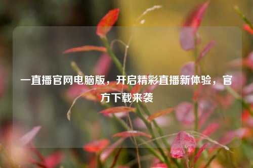 一直播官网电脑版，开启精彩直播新体验，官方下载来袭