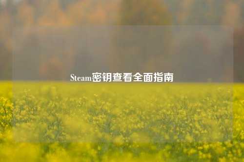 Steam密钥查看全面指南