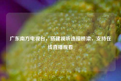 广东南方电视台，搭建视听连接桥梁，支持在线直播观看