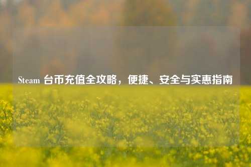 Steam 台币充值全攻略，便捷、安全与实惠指南
