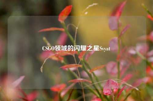 CSGO领域的闪耀之星Svyat
