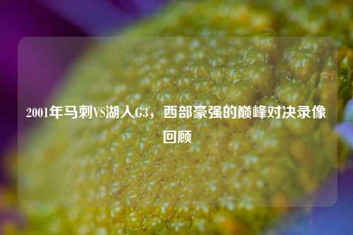 2001年马刺VS湖人G3，西部豪强的巅峰对决录像回顾