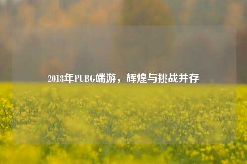 2018年PUBG端游，辉煌与挑战并存