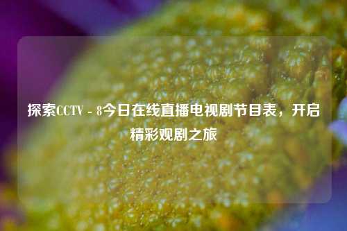 探索CCTV - 8今日在线直播电视剧节目表,开启精彩观剧之旅