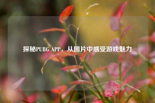 探秘PUBG APP，从图片中感受游戏魅力