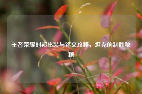 王者荣耀刘邦出装与铭文攻略，坦克的制胜秘籍