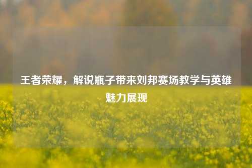 王者荣耀，解说瓶子带来刘邦赛场教学与英雄魅力展现
