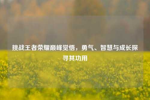 挑战王者荣耀巅峰觉悟,勇气、智慧与成长探寻其功用