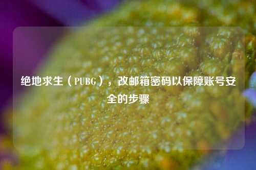 绝地求生(PUBG),改邮箱密码以保障账号安全的步骤