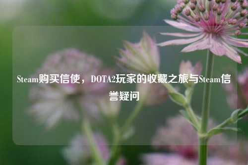 Steam购买信使,DOTA2玩家的收藏之旅与Steam信誉疑问