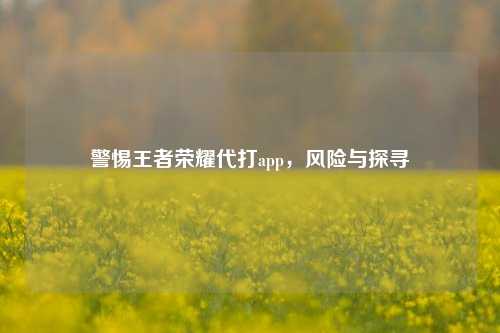 警惕王者荣耀代打app,风险与探寻