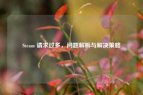 Steam 请求过多，问题解析与解决策略