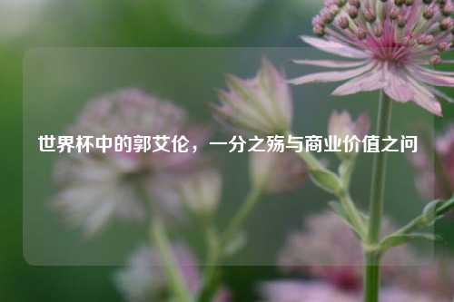 世界杯中的郭艾伦，一分之殇与商业价值之问
