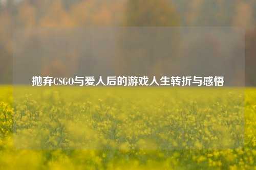 抛弃CSGO与爱人后的游戏人生转折与感悟
