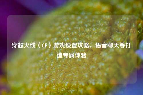 穿越火线(CF)游戏设置攻略,语音聊天等打造专属体验