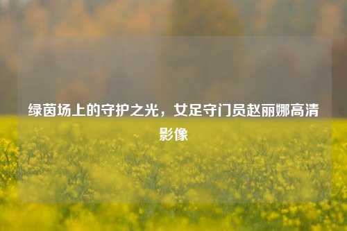 绿茵场上的守护之光,女足守门员赵丽娜高清影像