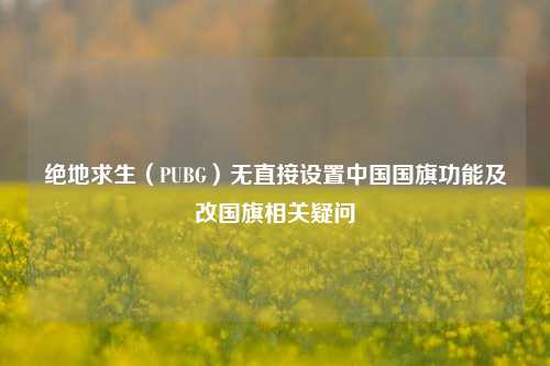绝地求生(PUBG)无直接设置中国国旗功能及改国旗相关疑问