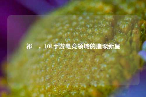 祁汌,LOL手游电竞领域的璀璨新星