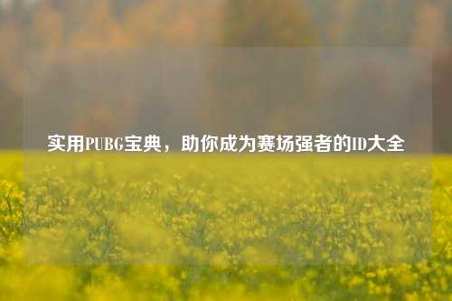 实用PUBG宝典,助你成为赛场强者的ID大全