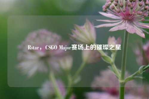 Rstar,CSGO Major赛场上的璀璨之星