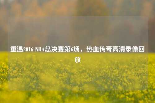 重温2016 NBA总决赛第6场，热血传奇高清录像回放