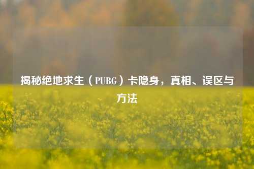 揭秘绝地求生(PUBG)卡隐身,真相、误区与方法
