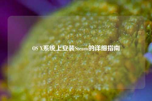 OS X系统上安装Steam的详细指南