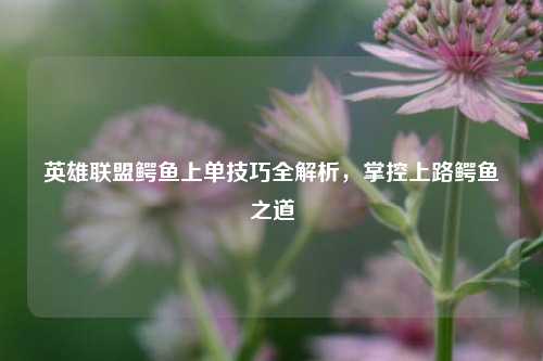 英雄联盟鳄鱼上单技巧全解析,掌控上路鳄鱼之道