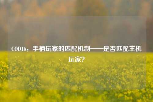 COD16，手柄玩家的匹配机制——是否匹配主机玩家？