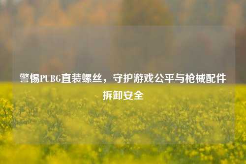 警惕PUBG直装螺丝，守护游戏公平与枪械配件拆卸安全