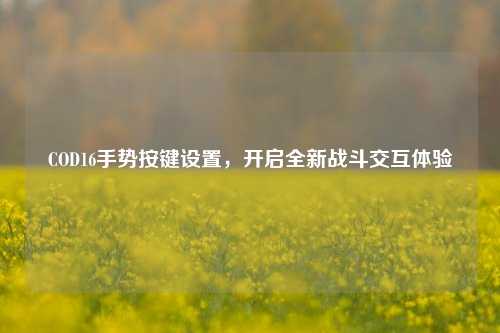 COD16手势按键设置,开启全新战斗交互体验