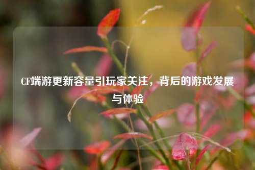 CF端游更新容量引玩家关注,背后的游戏发展与体验