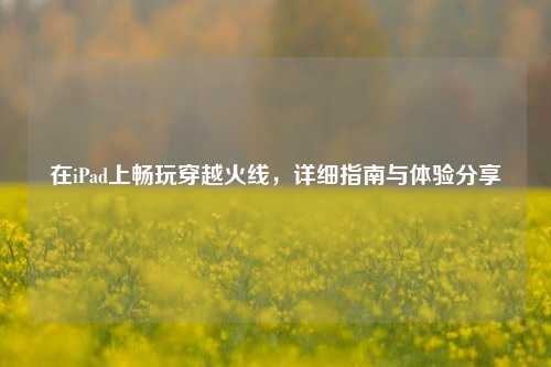 在iPad上畅玩穿越火线，详细指南与体验分享