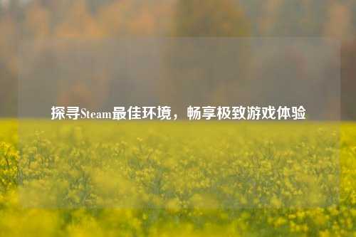 探寻Steam最佳环境，畅享极致游戏体验