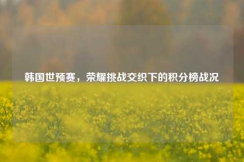 韩国世预赛，荣耀挑战交织下的积分榜战况
