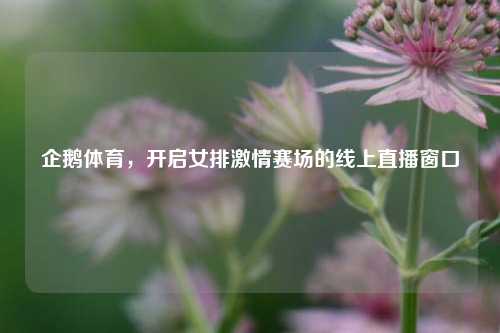 企鹅体育,开启女排激情赛场的线上直播窗口