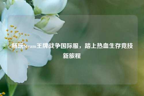 畅玩Steam王牌战争国际服,踏上热血生存竞技新旅程