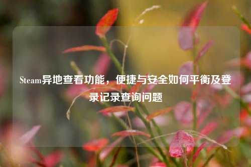 Steam异地查看功能,便捷与安全如何平衡及登录记录查询问题