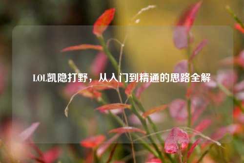 LOL凯隐打野,从入门到精通的思路全解