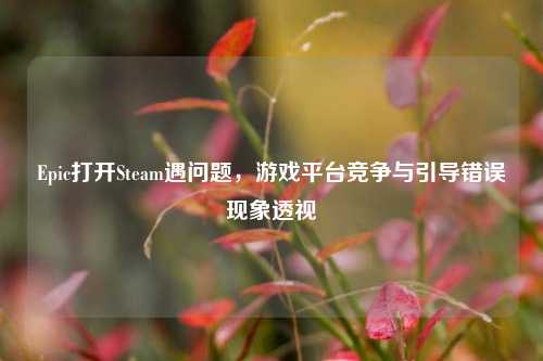 Epic打开Steam遇问题，游戏平台竞争与引导错误现象透视