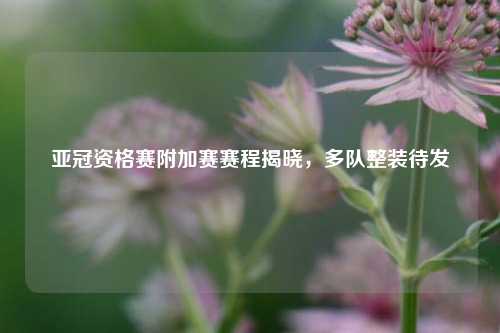亚冠资格赛附加赛赛程揭晓，多队整装待发