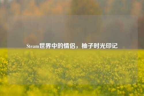 Steam世界中的情侣,柚子时光印记