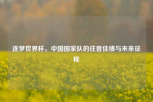 逐梦世界杯,中国国家队的往昔佳绩与未来征程